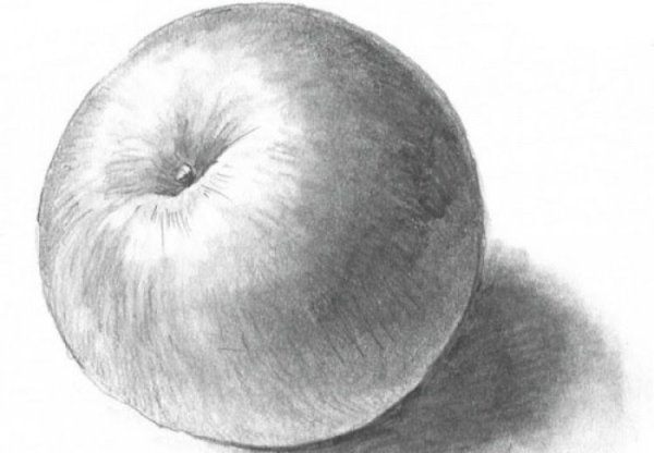 Яблоко карандашом