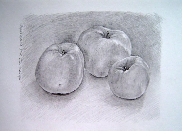 Натюрморт карандашом несложный