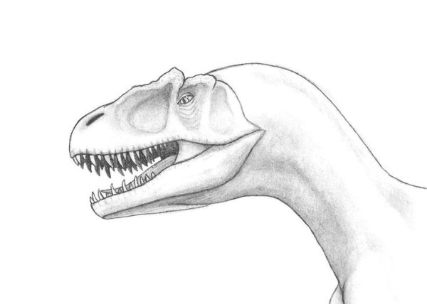 Рисунки динозавров для срисовки