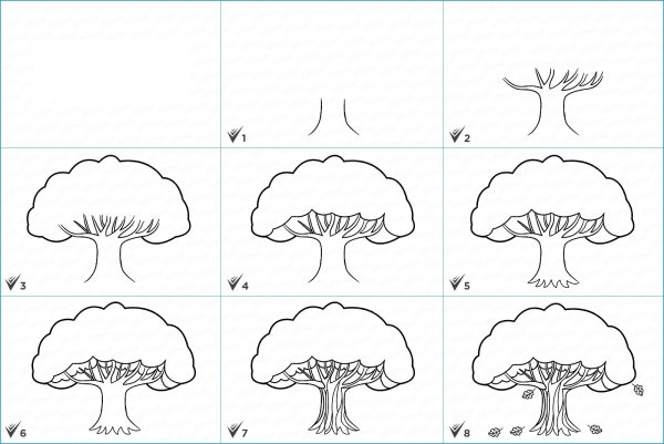 Дуб нарисовать легко