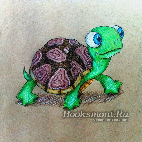 Рисунки черепахи для срисовки