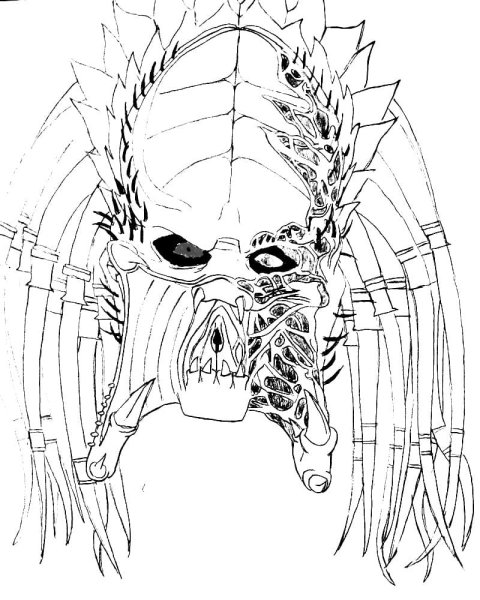 Рисунки хищника легкие