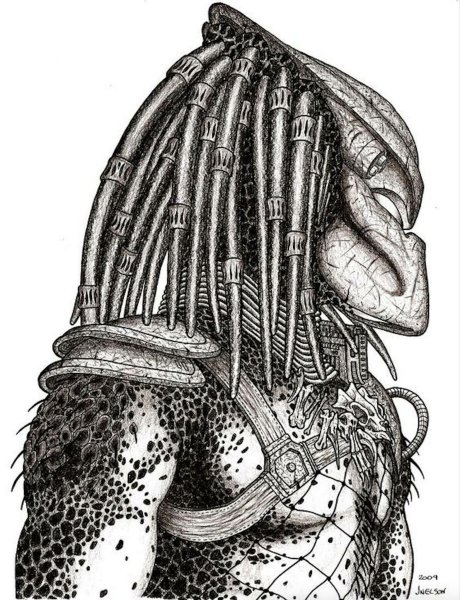 Хищник картинки