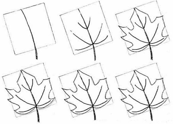 Дерево клен поэтапное рисование