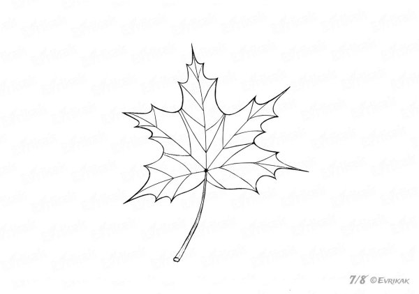 Поэтапное рисование осеннего дерева