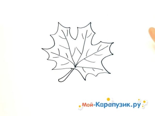 Клен дерево raskraska