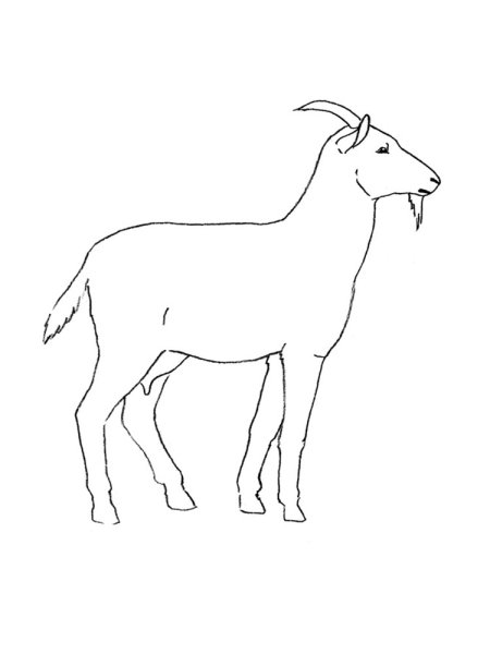 Коза для рисования