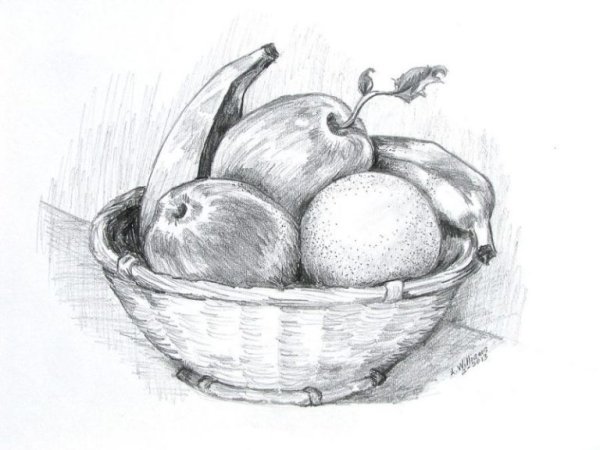 Морковь карандашом