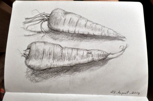 Рисунки карандашом