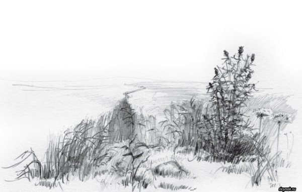 Степной пейзаж карандашом