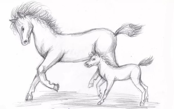 Лошадь рисунок карандашом