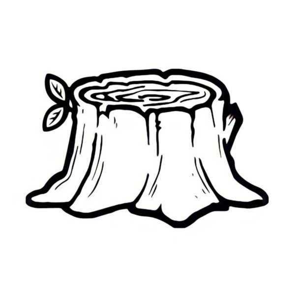 Зарисовка пня карандашом