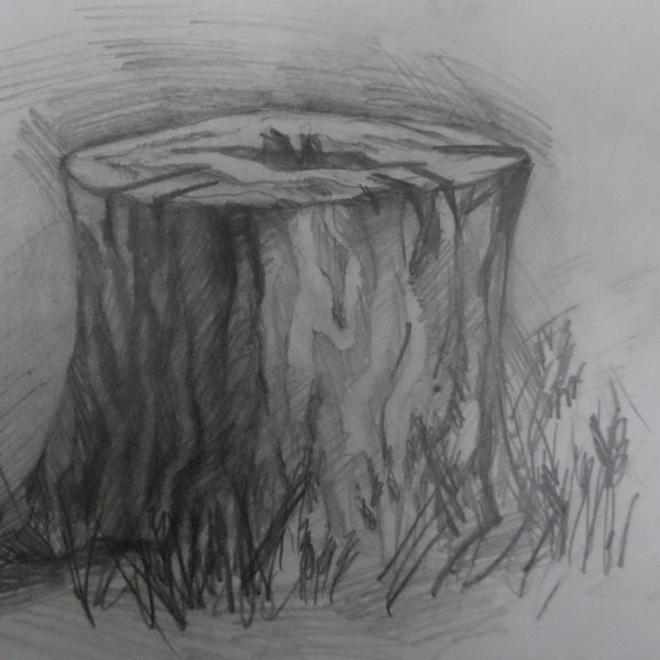 Зарисовки элементов пейзажа