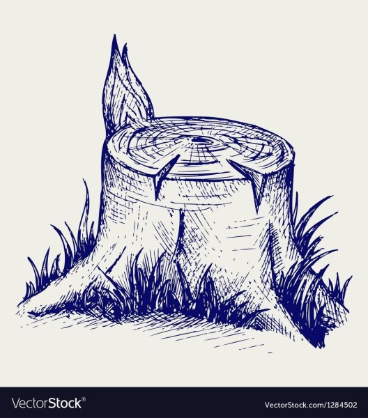 Пенек раскраска для детей