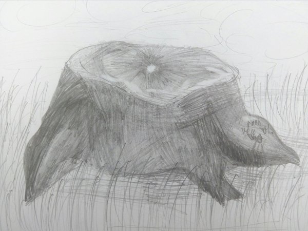 Рисуем грибы поэтапно