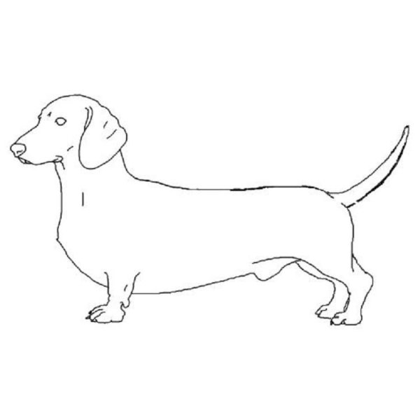 Такса простым карандашом