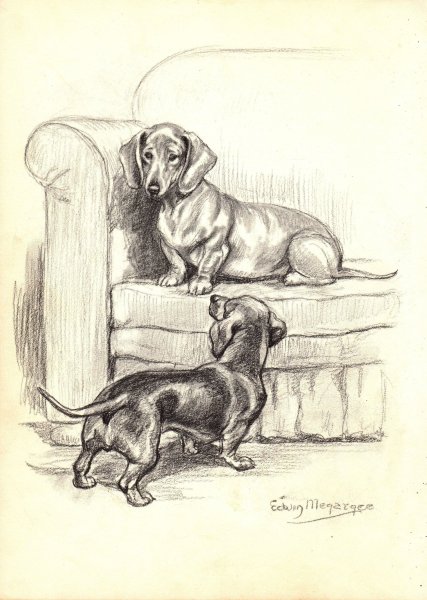 Дэвид Хокни собаки