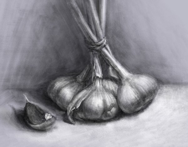 Чеснок для срисовки