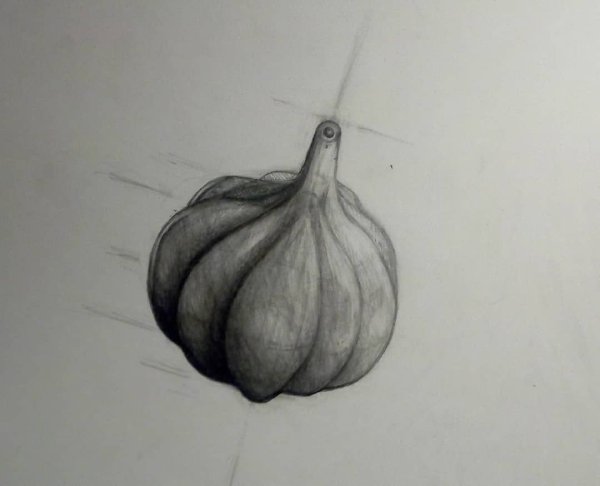 Чеснок карандашом