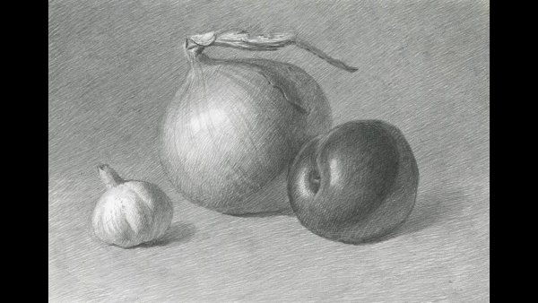 Чеснок Академический рисунок