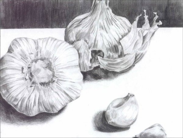 Лук карандашом