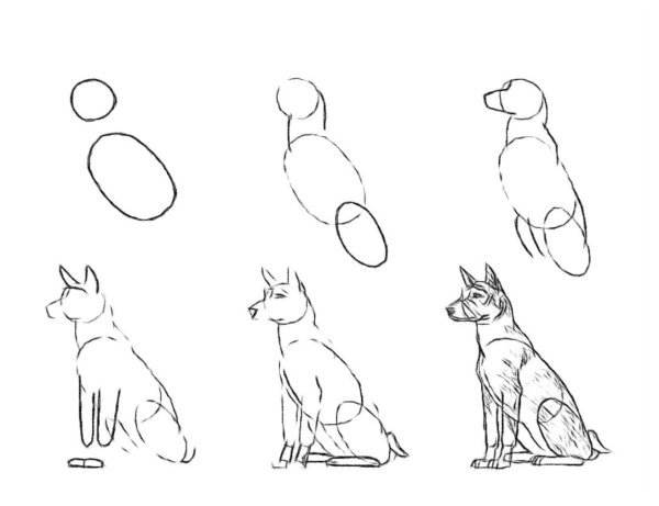 Волк поэтапно карандашом для начинающих