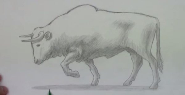 Бык рисунок легкий