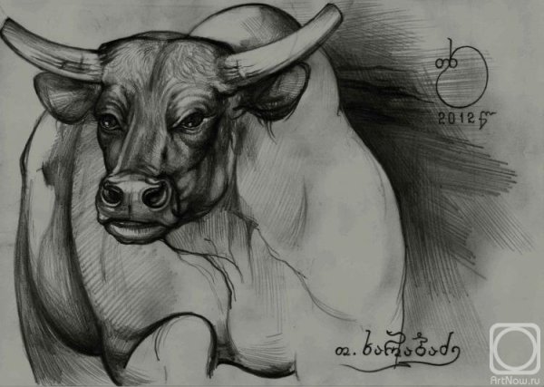 Бык для срисовки