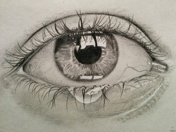 Красивый глаз карандашом