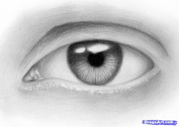 Глаз простым карандашом