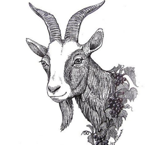 Коза рисунок