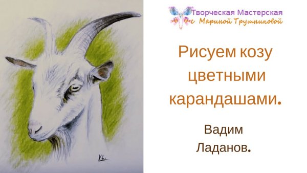 Козел карандашом