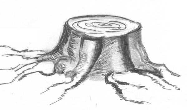 Рисунок пня с корнями