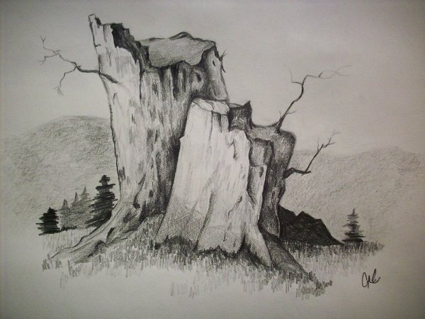 Пень раскраска