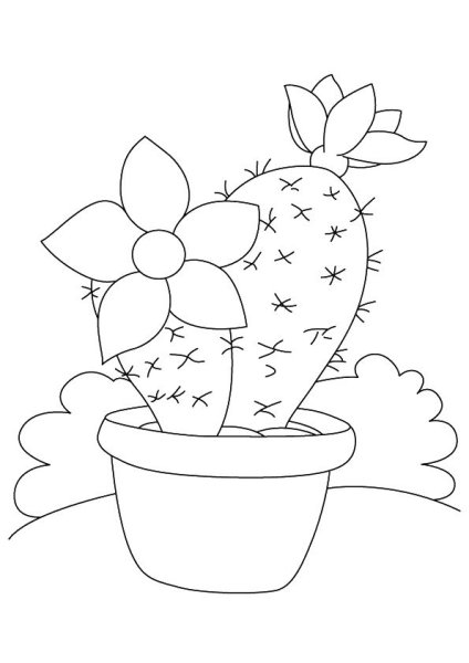 Цветы карандашом