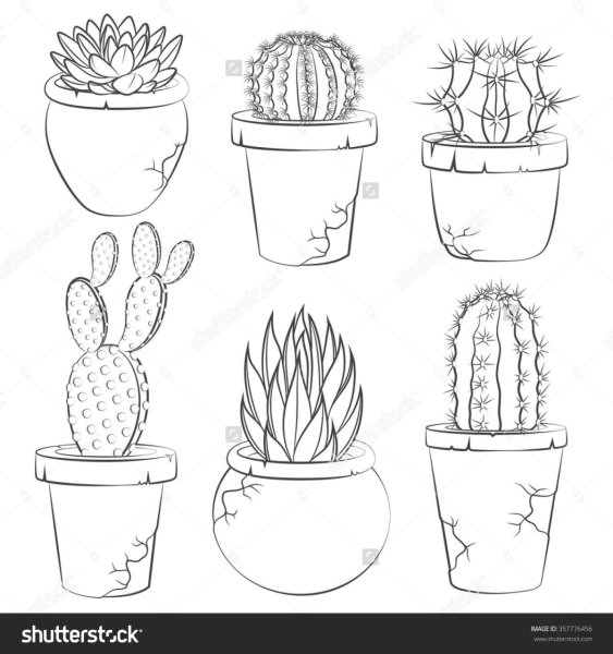 Комнатные цветы бальзамин раскраска