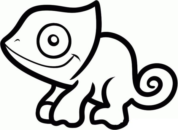 Тотемное животное хамелеон