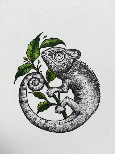 Рисунки цветные