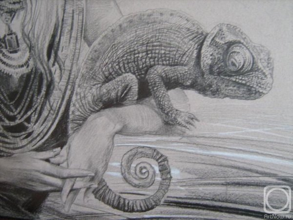 Хамелеон чб