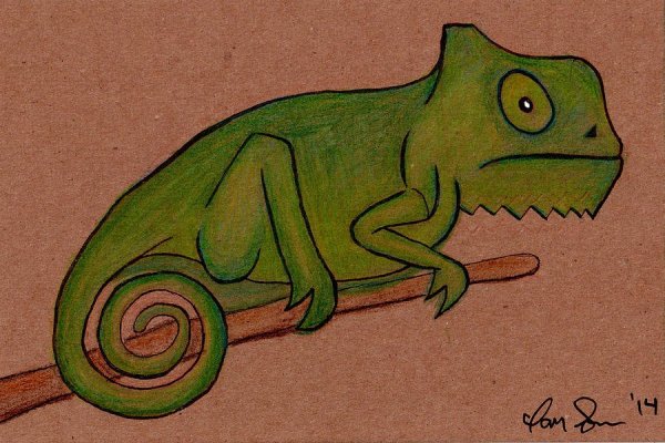 Хамелеоны. Раскраска
