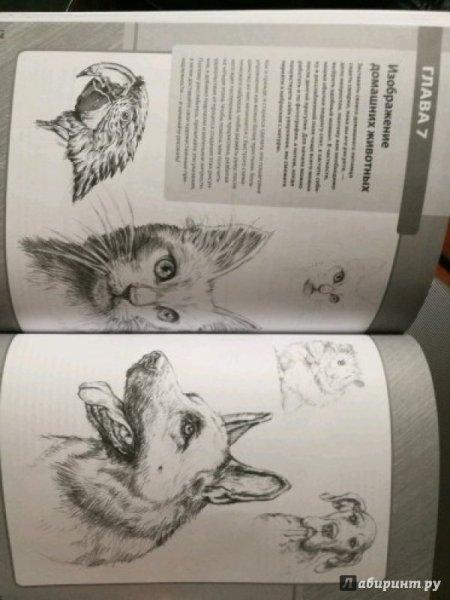 Дункан Смит художник