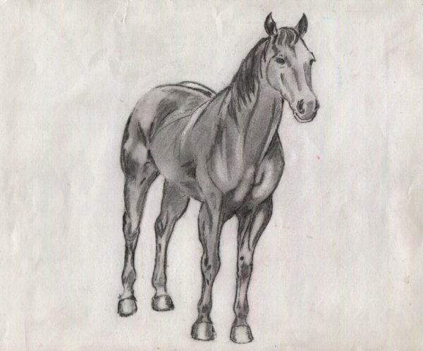 Фрукты гелевой ручкой