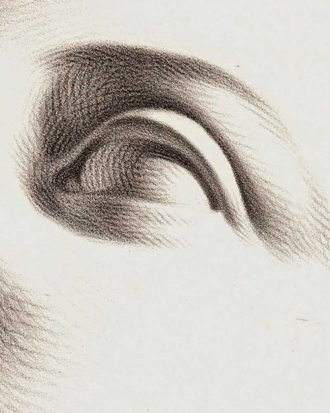 Академическое рисование глаз