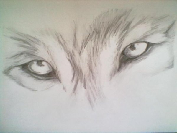 Рисунки с растушевкой