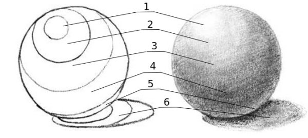 Светотень на предмете рисунок