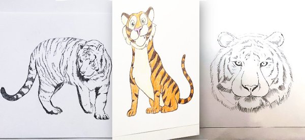 Рисунок тигра 4 класс