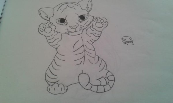 Плюшевый Тигренок рисунок карандашом