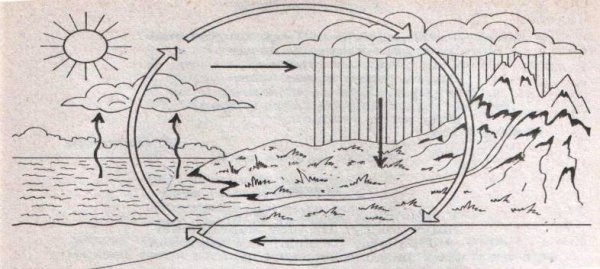 Схема круговорот воды в природе 3 класс схема окружающий мир