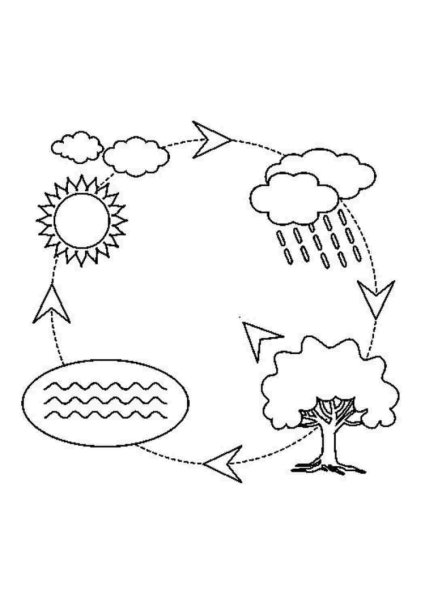 Круговорот воды в природе схема