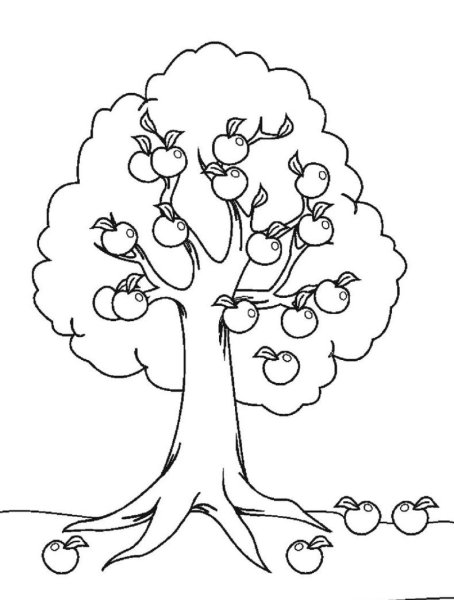 Дерево яблоня raskraska